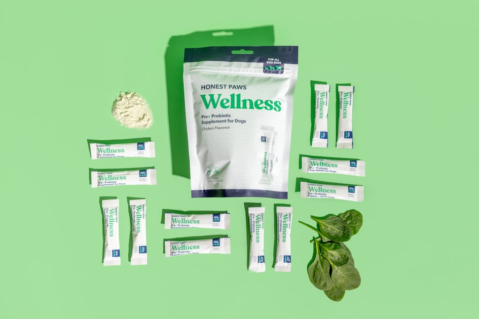 Nutritional Science: The Future of Wellness